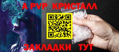 крисы Пенза