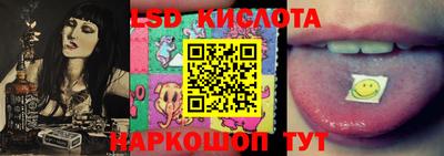 крисы Пенза