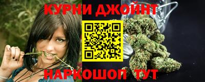 крисы Пенза