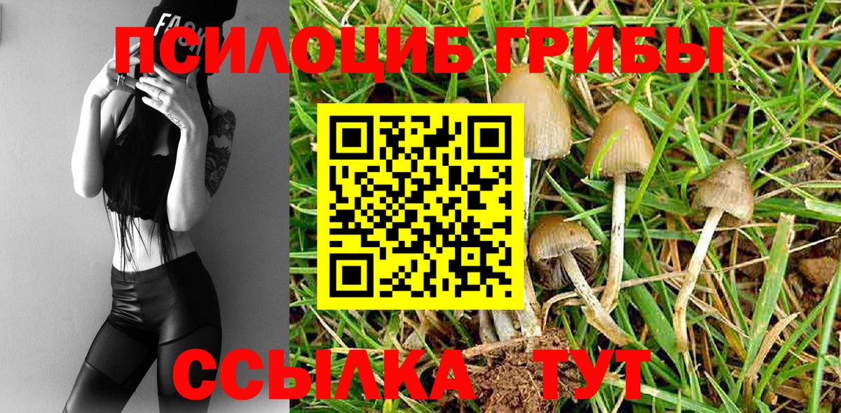 наркота  Псилоцибиновые грибы MAGIC MUSHROOMS  Вход с VPN  Пенза 
